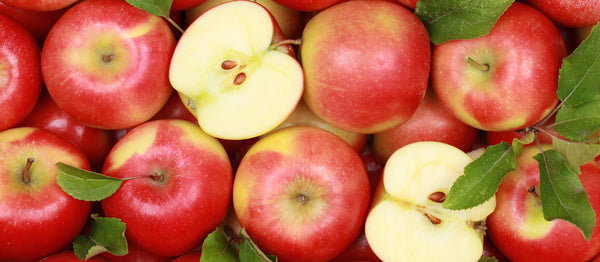 Anti-Aging through Apples